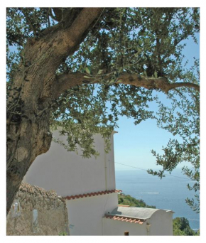 Al Poggio Antico Amalfi